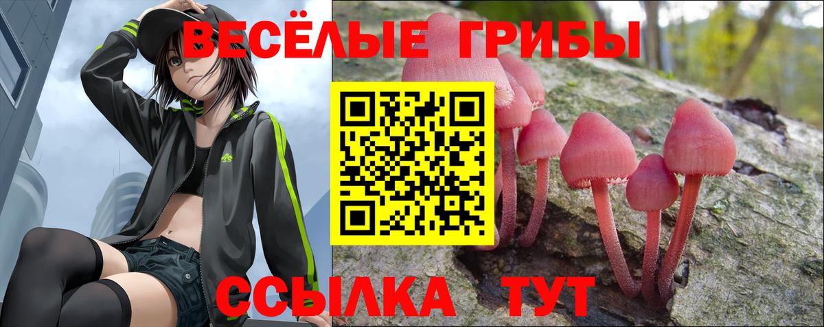 Россия  Галлюциногенные грибы Psilocybine cubensis  Вход с VPN  Галлюциногенные грибы прущие грибы 