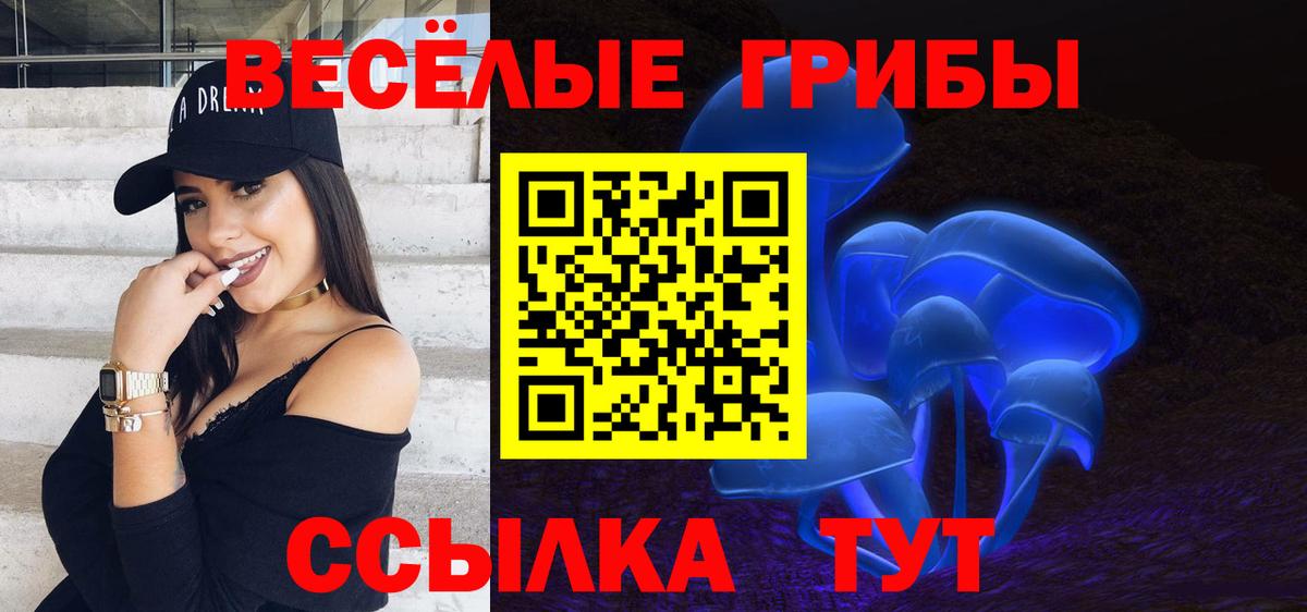 Галлюциногенные грибы Psilocybine cubensis Россия