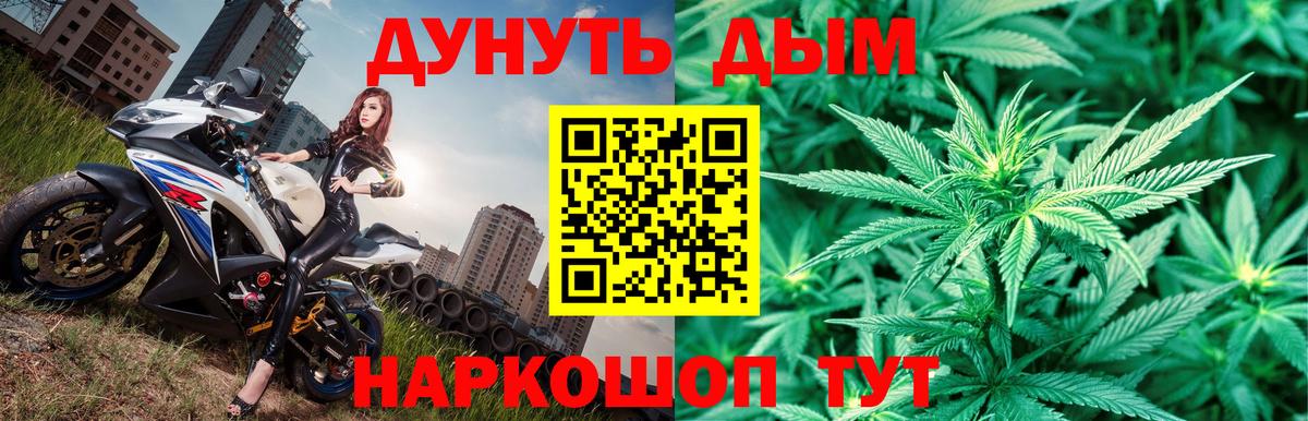 Шишки марихуана SATIVA & INDICA  Бошки Шишки SATIVA & INDICA  Вход с VPN  Канабис OG Kush  Россия  Канабис марихуана 